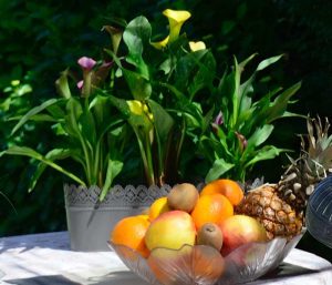La corbeille de fruit de Christine pour le petit déjeuner