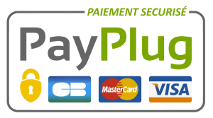 logo pay plug