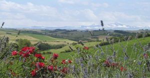 Panorama Pyrénées chambre d'hôtes